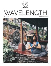 Wavelength Issue 5 (05.2017)