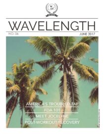 Wavelength Issue 6 (06.2017)