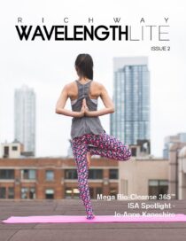 Wavelength Lite Issue 2