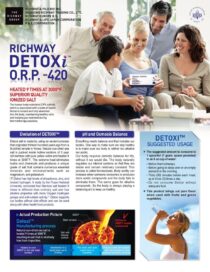 Detoxi Flyer - English