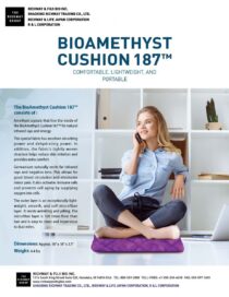 Bio Amethyst Cushion Flyer - English