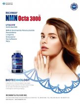 NMN 6P Brochure - English